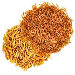 Petamore 2.5oz Dried Mealworms and Black Soldier Fly Larvae Worms Mix for Chickens Wild Birds-High Protein Meal Worms Chicken Treats, Non-GMO Organic Chicken Feed Food for Wild Birds, Ducks, Reptiles