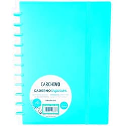 Carchivo ingeniox notebook A4 100 sheets ruled mint