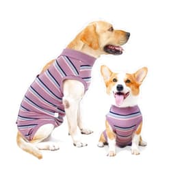 HEYWEAN Dog Surgical Recovery Suit for Dogs Keep Dog from Licking Abdominal Wound Protector E-Collar Alternative After Surgery Wear Pet Supplier (Red,S)