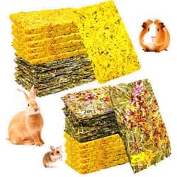 Hamiledyi Rabbit Chew Toys 24 Pieces Guinea Pig Chew Toys for Teeth Natural Grinding Teeth for Chinchilla Bunny Hamster Gerbil Rat Small Animals