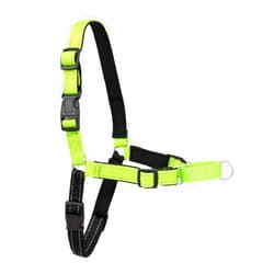 PetSafe Easy Walk Deluxe Dog Harness, No Pull Dog Harness Perfect for Leash & Harness Training Stops Pets from Pulling and Choking on Walks Medium/Large, Apple