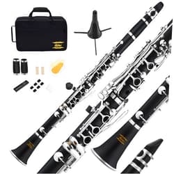 Eastar B Flat Clarinet for Beginner, Ebonite Clarinet Nickel-plated with 2 Barrels, 3 Reeds, White Gloves, Hard Case, Cleaning Kt, ECL-300