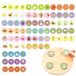 Arrowbash Science Life Cycle Toys for Kids, Learning & Educational Toys, 20 Styles 80 Pcs Wooden Montessori Trays Preschool Education Toys Kit for Age 3 4 5 6 7 8+