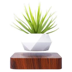 Generic Levitating Air Bonsai Pot, Rotation Flower Pot Planters, Magnetic Levitation Suspension Floating Pot, Potted Plant Home Desk Decor in Flower Pots & Planters from Home & Garden on (Light Color)
