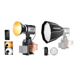 NEEWER MS60B LED Video Light 2.4G/APP Control with 12