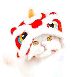 BAMY Lion Dance Cat Hat New Year Pet Cap Warm Dog Head Accessorries Cosplay Hat Costume for Cats Kitten Puppy Small Dogs (Head Circumference 13.8 inches)