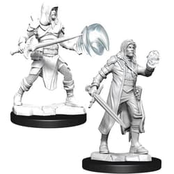 WizKids D&D Nolzur's Marvelous Miniatures: Multiclass Fighter + Wizard Male