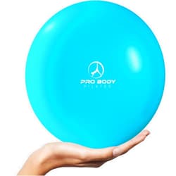 ProBody Pilates Ball Small Yoga Ball, 9 Inch Exercise Ball with Exercise Guide, Fresh Colors Mini Soft Therapy Ball Stability Ball, Excercise Workout Ball, Core Ball for Barre and Balance