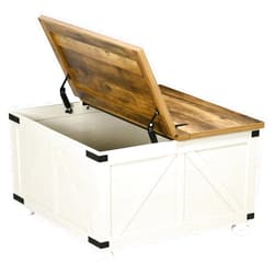 Canditree Square Coffee Table with Storage, Farmhouse Coffee Table Living Room Table with Hinged Lift Top (Antique White)