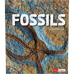 By Ava Sawyer (Author) Format: Kindle Edition Fossils (Rocks)