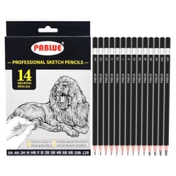 PABLUE Professional Triangular Drawing Sketching Pencil Set,6H,4H,2H,H,HB,F,B,2B,3B,4B,6B,8B,10B,12B Graphite Shading Pencils for Beginners,ProArtists,Drawing,Drafting,Sketching,Shading(14 Pcs)