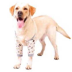 ROZKITCH Dog Surgery Recovery Sleeve for Front Legs, Pet Prevent Licking Wound Elbow Brace Protector, Dog Leg Sleeve to Stop Licking Cone Collar Alternative for Sprain ACL CCL Arthritis Cute Dog L
