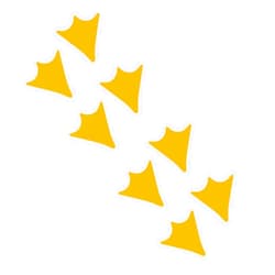 LiteMark Durable Vinyl, Duck Web Foot Print Decals, 2 Inch Duck Foot Prints Stickers for Schools Activities, Play Areas- (Golden Yellow, Pack of 48 Pcs)