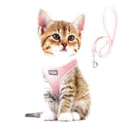 Fida Cat Harness and Leash Set for Walking Kitten and Puppy, Escape Proof Kitten Harness with Breathable Lightweight Soft Mesh, Adjustable Reflective Step-in Design. (XXXS, Pink)