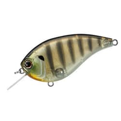 Daiwa Evergreen Flat Force CRANKBAIT 4 FEET Baby Ghost GILL
