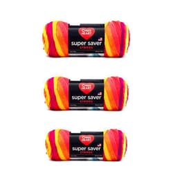 Red Heart Super Saver Yarn, 3 Pack, Fruity Stripe 3 Count