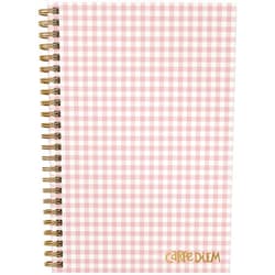 PUKKA PADS USA (CARPE DIEM) Carpe HRDCVR NOTEBK BALLR CHCK, Ballerina Pink Check