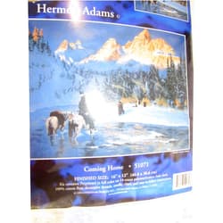 Candamar Designs Embellished Printed Cross Stitch ~ Coming Home ~ Native American Scene