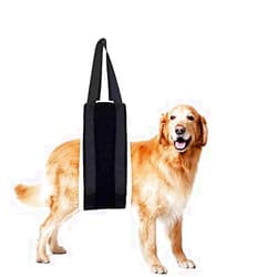 HNYG 30-120 lbs Large Dog Sling for Rear Legs Helps Elderly Dogs with Reduced Mobility, Dog Support K9 Dog Lift Harness, Dog Lifter for Arthritis ACL Rehabilitation Rehab, 7
