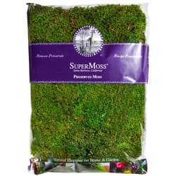 SuperMoss Super Moss 21513 Preserved Sheet Moss, Fresh Green, 16-Ounce