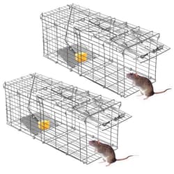 Jahy2Tech 2024 New Humane Mouse Traps Indoor for Home 2 Pack Live Mouse Traps Catch and Release Chipmunk Trap Rat Traps Indoor for Home Mice Traps for House Indoor Outdoor(14.5