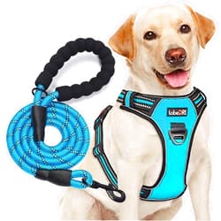 tobeDRI No Pull Dog Harness Adjustable Reflective Oxford Easy Control Medium Large Dog Harness with A Free Heavy Duty 5ft Dog Leash (L (Neck: 18