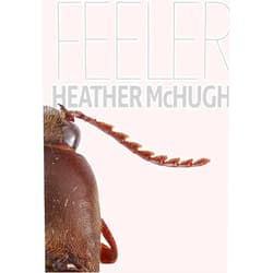 Heather McHugh Feeler (Quarternote Chapbook Series)