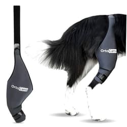 Ortocanis Dog Knee Brace for Torn Acl Hind Leg, Cruciate Ligament Injuries, Patella Dislocation or Osteoarthritis - Dog Acl Knee Brace - Dog Braces for Back Leg for Support (XX-Small, Left Leg)