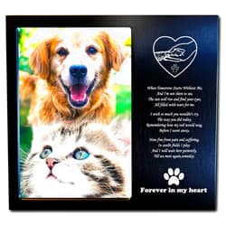 JOEZITON Pet Dog Cat Memorial Gifts for Dogs Cats, Pet Memorial Gifts, Pet Loss Sympathy Gift, Pet Memorial Picture Frame 4x6 Inch Personalized Metal