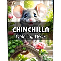 Hudson - H.Hill Publishing Chinchilla: Coloring Book, A Unique Book For Fans To Color, Enjoy, And Have More Fun.