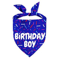 Yaofavo Birthday Boy Dog Bandanas 1 Pack, Blue Birthday Dog Scarfs for Boys, Pet Scarves for Birthday Boy Bandanas for Small Medium Large Dogs (Birthday Boy, One Size)