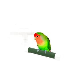 Hypeety Bird Parrot Stand Perch Shower Standing Toy Portable Suction Cup Parrot Shower Perch Bath Stands Suppllies Holder Platform Parakeet Finch Window Sturdy Hanging Play (Small)