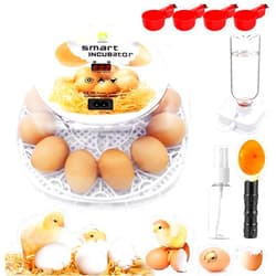 Viowey Incubators for Hatching Eggs, 12-24 Egg Incubator with Automatic Egg Turning and Humidity Control, Automatic Water Adding, LED Egg Candler, for Hatching Chickens, Duck, Quail, Goose Eggs (White)