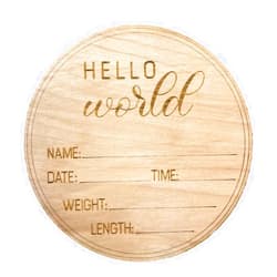 2OWLS Baby Birth Announcement Disc, Baby Birth Stat Plaque, SIZE 6