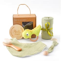 EERKEOD Baby Gift Set for Newborn Baby Essentials Neutral Baby Gift with Baby Blanket Baby Rattle Pacifier Chain New Baby Bath Gift 5PC Green Dinosaur