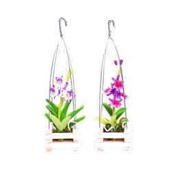 Ablossom 2 Miniature Orchids Artificial Flower Clay with A Hanging Basket Wood Stretched Wire for Dollhouse Fairy Garden Size S Scale 1:12