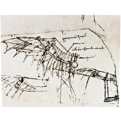 Posterazzi Leonardo Da Vinci Ndesign For A Flying Machine Wing Operated By A Spring Poster Print by (18 x 24)