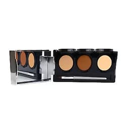 Dermaflage Full Coverage Concealer Palette, Waterproof Concealer Cream, 3 Colors + Brush, by Dermaflage Medium