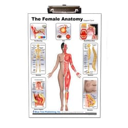Blue Tree Publishing Female Anatomy Clipboard