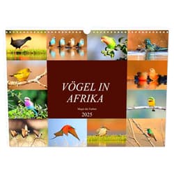 CALVENDO Vögel in Afrika - Magie der Farben (Wandkalender 2025 DIN A3 quer), CALVENDO Monatskalender [Calendar] Michael Herzog