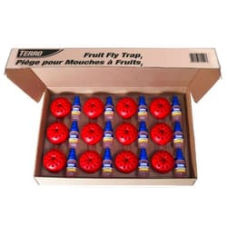 Terro T2512 Fruit Fly Trap-12 Traps, Red