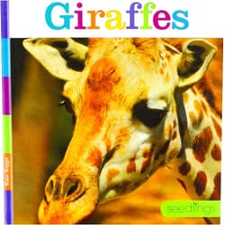 Kate Riggs Giraffes (Seedlings)