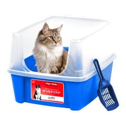 IRIS USA Large Open Top Cat Litter Box with High Sided Walls Tall Scatter Shield Scoop Included Easy Clean Plastic Pan Stain Resistant for Big Cats Kittens Indoor Multi-Cat Households