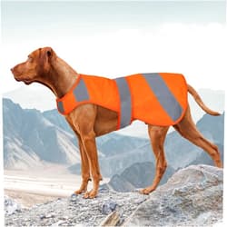 Vizbrite Orange Dog Vest High Visibility Safety, Dog Hunting Vest, Dog Jacket Soft Adjustable, Reflective Dog Vest for Small Medium Large Dogs