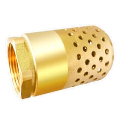 Boltigen Brass Foot Valve 3/4 inch NPT Heavy Duty Spring Mesh Check Valve Female Connection One Way Foot Valve Backflow Preventer with Holes Strainer Filter for Well Jet Pumps Foot Valv (3/4'' NPT)