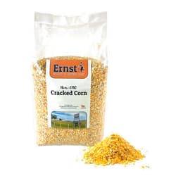 Ernst Grain & Livestock Cracked Corn, Non-GMO – Perfect Feed for Ducks, Squirrels, Chickens, Ducks, Deer, Rabbits, Geese, and More! (10 lb)