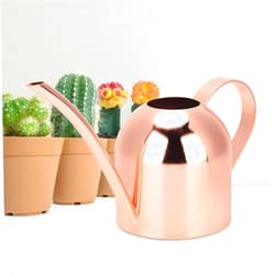 Yosoo Plant Watering Can, 500ml Stainless Steel Watering Can Long Mouth Sprinkling Pot for Outdoor and Indoor House Plants (1)