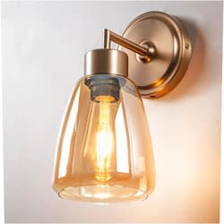 Zonsbin 1-Light Vintage Wall Sconce, Bathroom Wall Light with Oval Clear Glass Shade and Metal Base, Industrial Wall Mount Light Fixtures for Bedroom Vanity Mirror Hallway Kitchen (Amber)