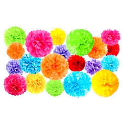 Jayke Joy 20 Pcs Paper Pom Poms Kit, Tissue Paper Flowers for Birthday, Party, Fiesta, Classroom, Playroom Festive Decorations (Multicolor, Assorted Sizes)
