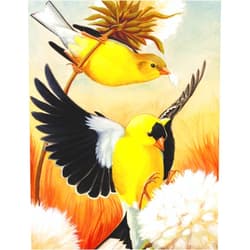 New York Puzzle Company - Cornell Lab American Goldfinch Mini - 100 Piece Jigsaw Puzzle